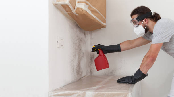 Professional Attic Mold Removal technician working in Paramus, NJ