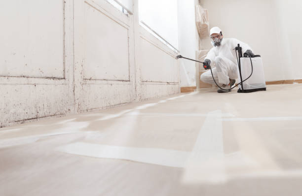 24/7 Emergency Attic Mold Removal experts in Paramus, NJ