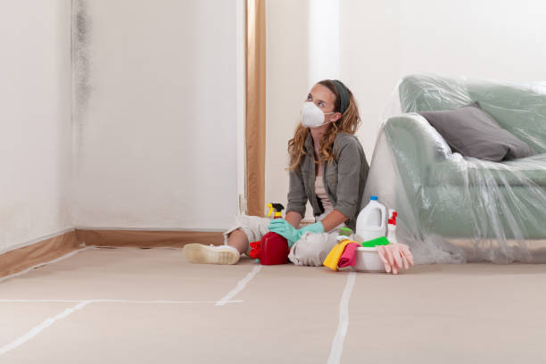 Reliable Attic Mold Removal contractor in Paramus, NJ by WQB Mold Removal